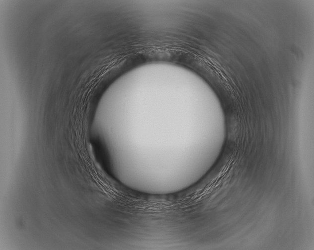 X0000115811297200911131034