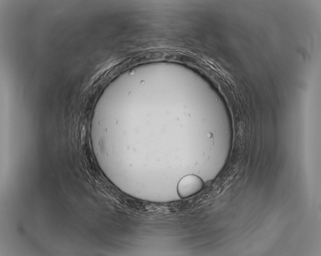 X0000115811302200911131034