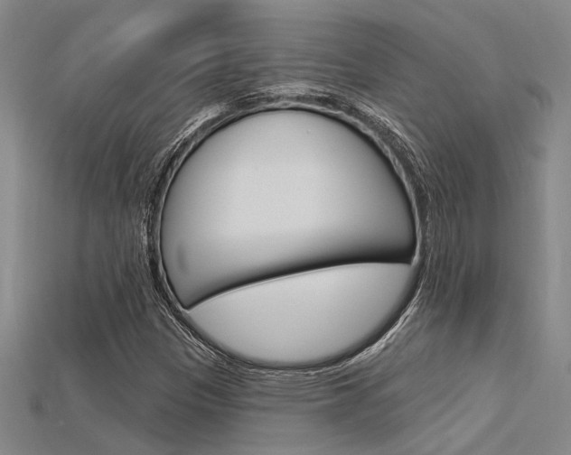 X0000115811305200911131034