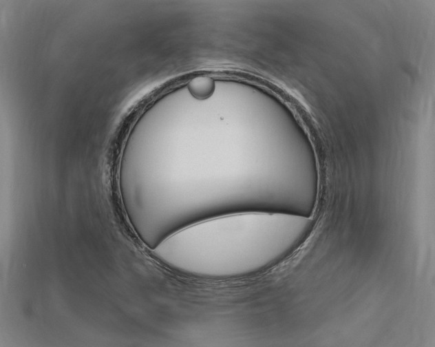 X0000115811311200911131034