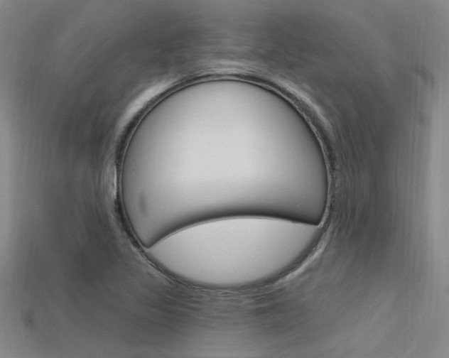 X0000115811317200911131034
