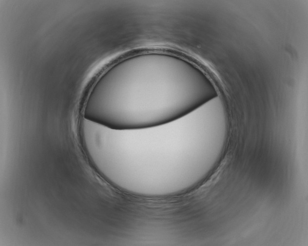 X0000115811319200911131034