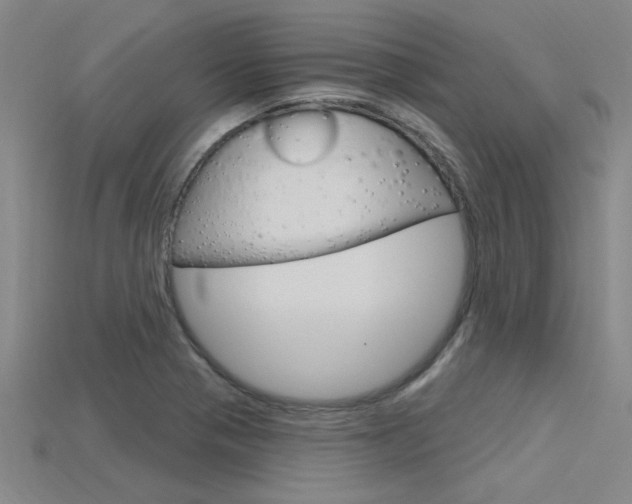 X0000115811321200911131034