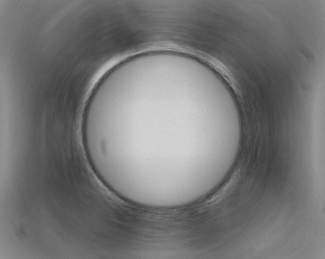 X0000115811326200911131034