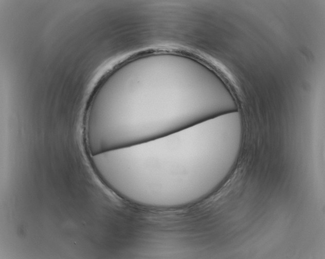 X0000115811327200911131034