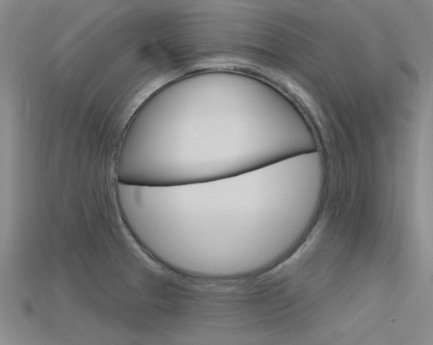 X0000115811329200911131034