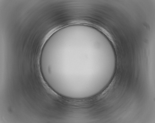 X0000115811330200911131034