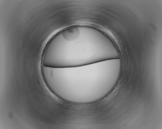 X0000115811331200911131034