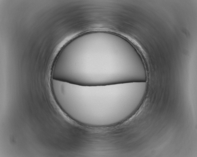 X0000115811333200911131035