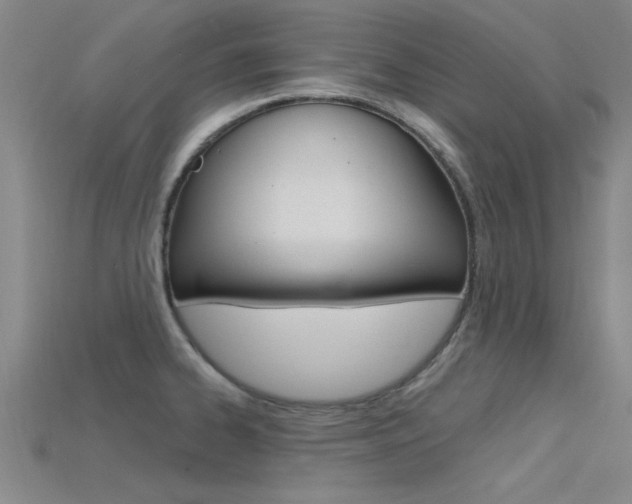 X0000115811334200911131035