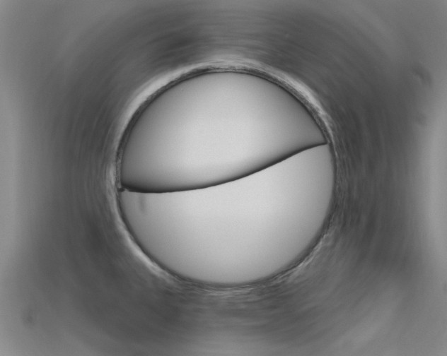 X0000115811335200911131035