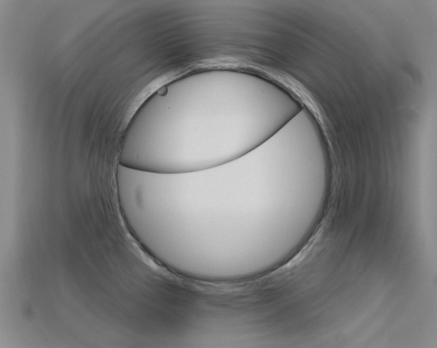 X0000115811337200911131035