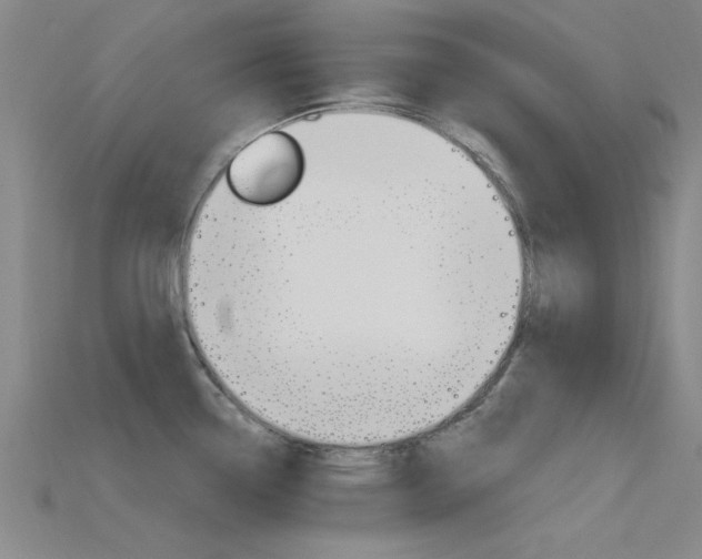 X0000115811338200911131035