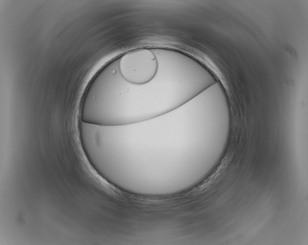 X0000115811339200911131035