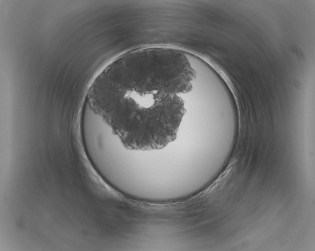 X0000115811341200911131035