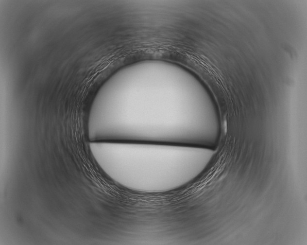 X0000115811347200911131034