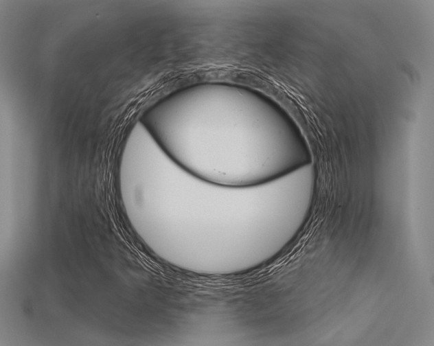 X0000115811349200911131034