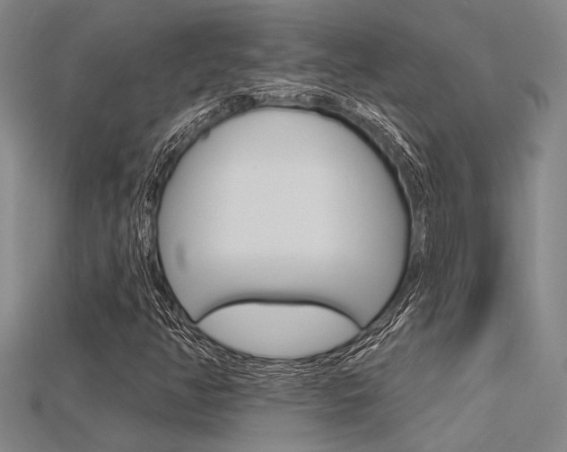 X0000115811350200911131034