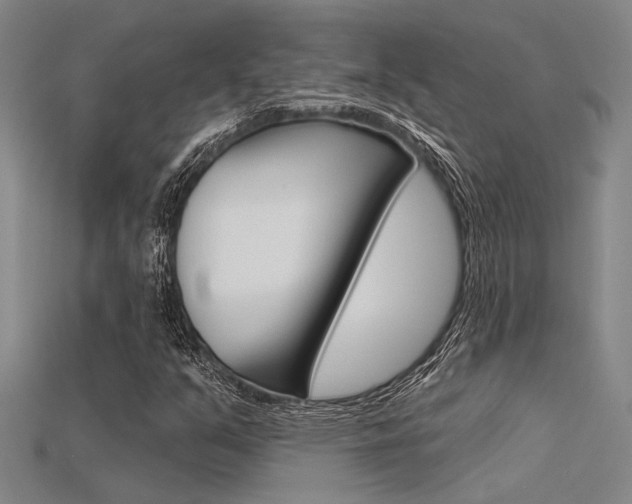 X0000115811351200911131034