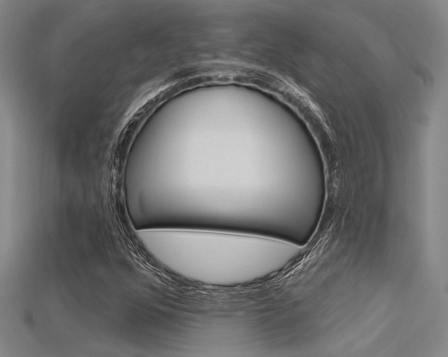 X0000115811352200911131034