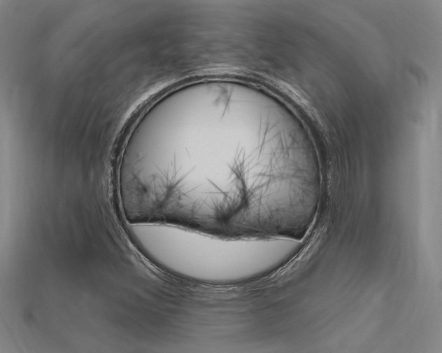 X0000115811356200911131034