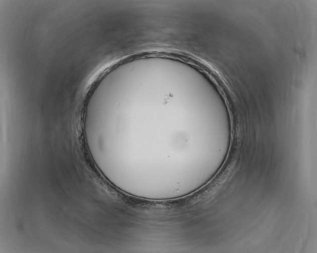 X0000115811359200911131034