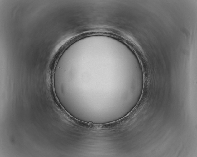 X0000115811360200911131034