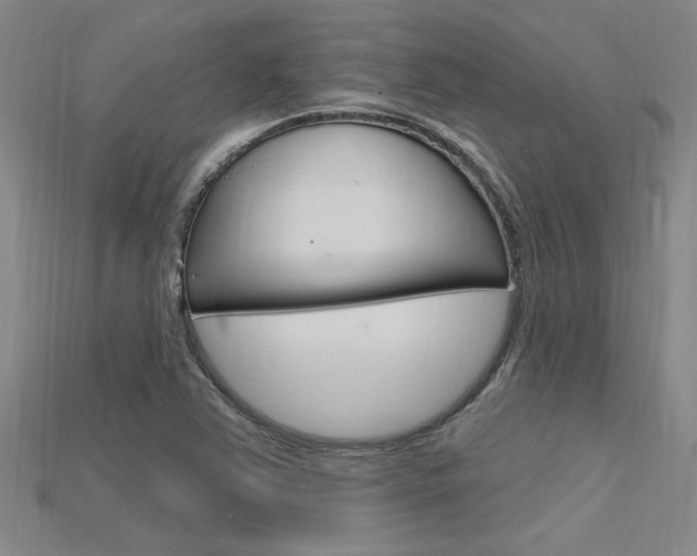 X0000115811363200911131034