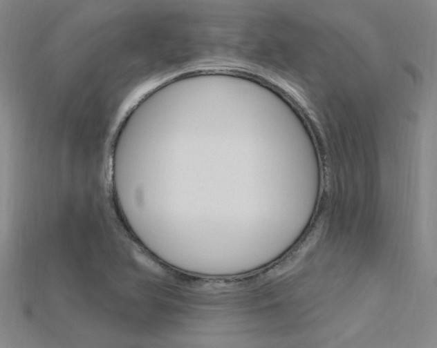 X0000115811366200911131034