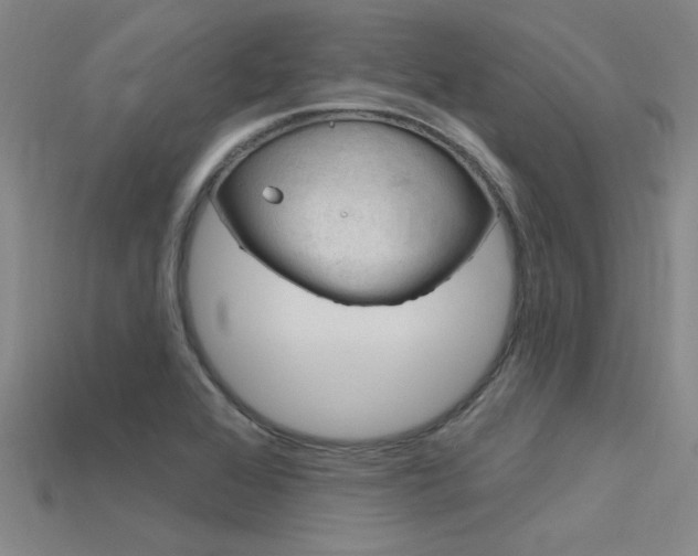X0000115811368200911131034