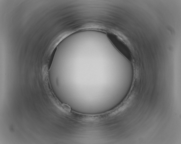 X0000115811369200911131034
