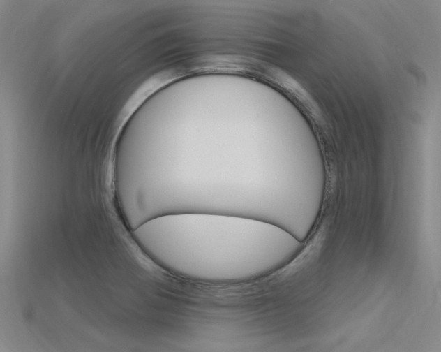 X0000115811370200911131034