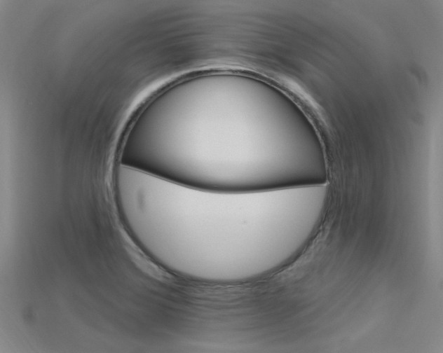 X0000115811372200911131034