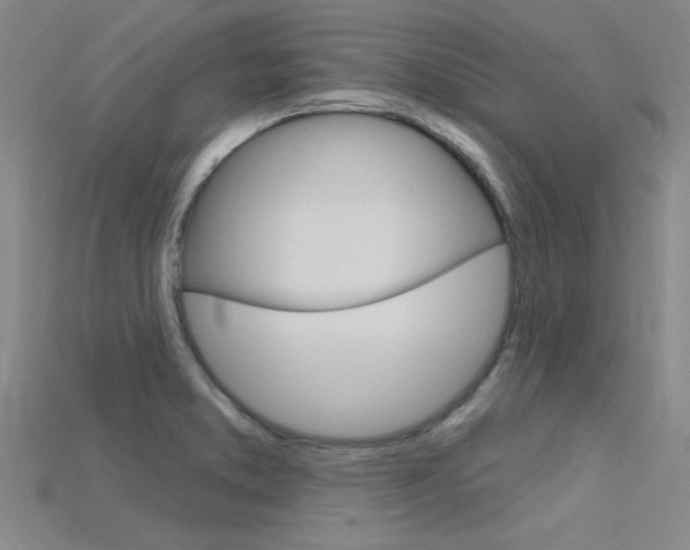 X0000115811373200911131034