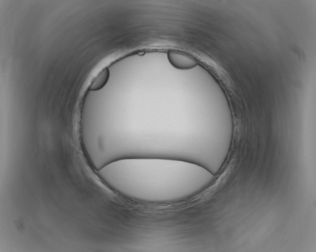 X0000115811374200911131034