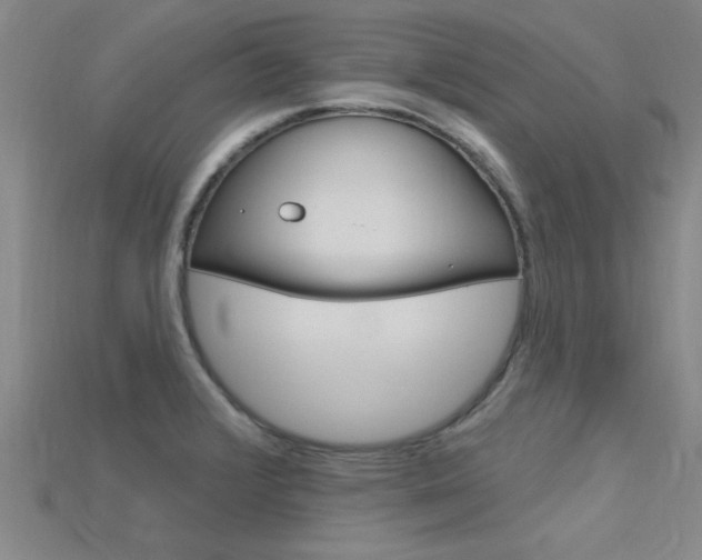 X0000115811376200911131034