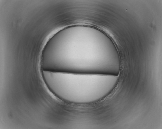 X0000115811379200911131034