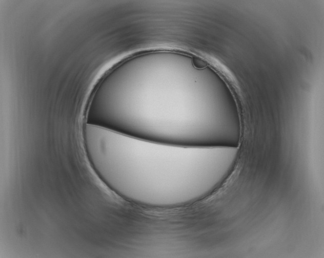X0000115811380200911131034