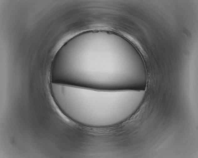 X0000115811383200911131034