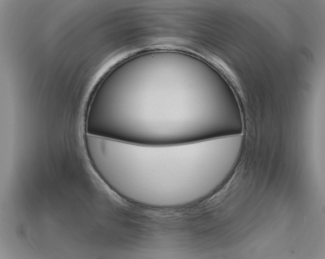 X0000115811384200911131034