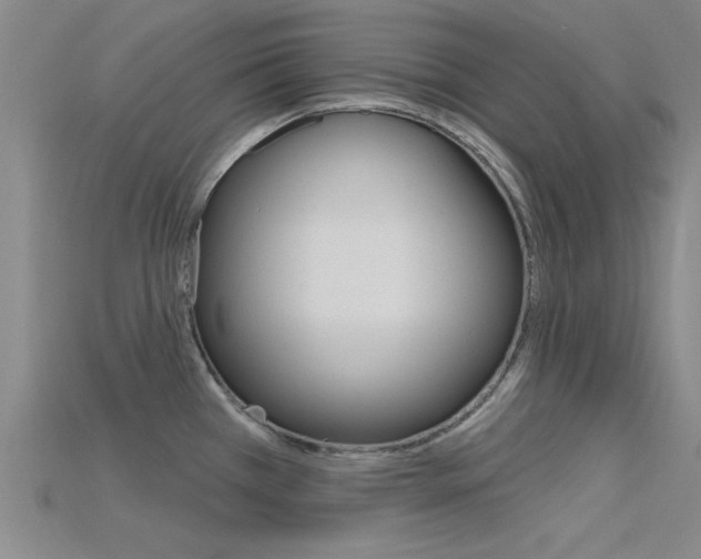 X0000115811385200911131034