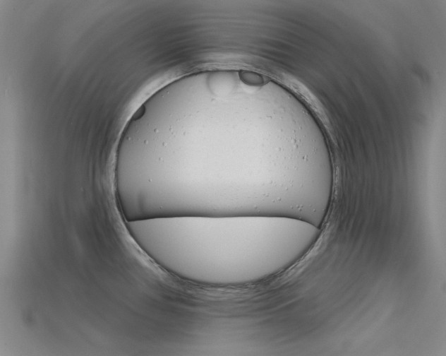 X0000115811386200911131034