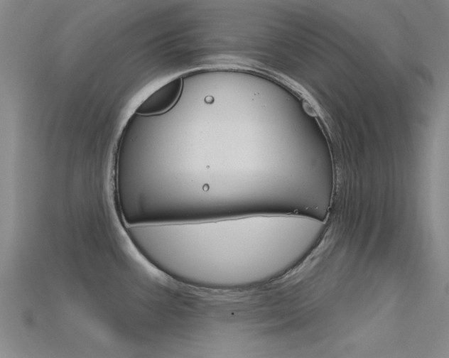 X0000115811387200911131034