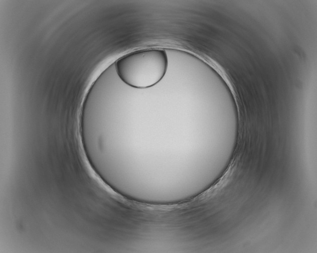X0000115811389200911131033