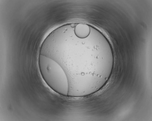 X0000115811390200911131033