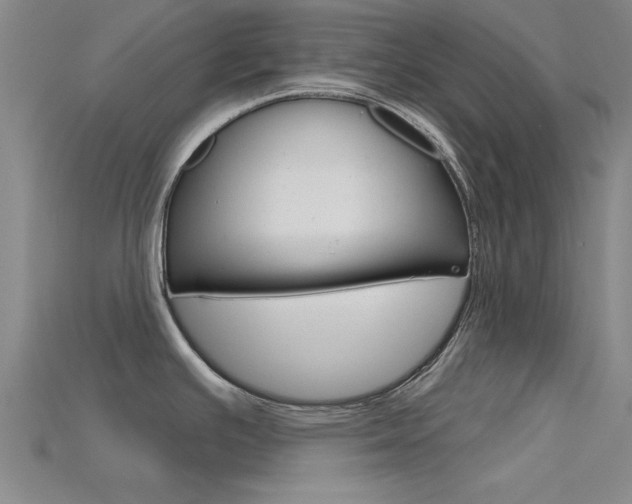 X0000115811391200911131033