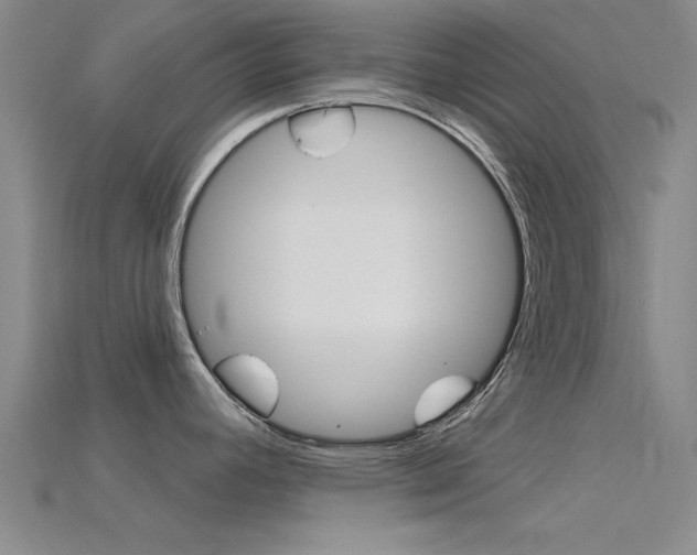 X0000115811392200911131033