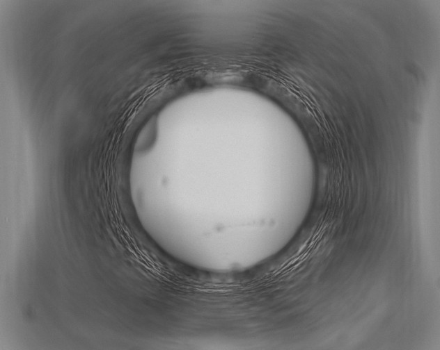 X0000115811393200911131033
