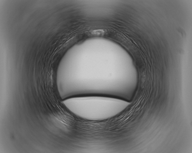X0000115811394200911131033