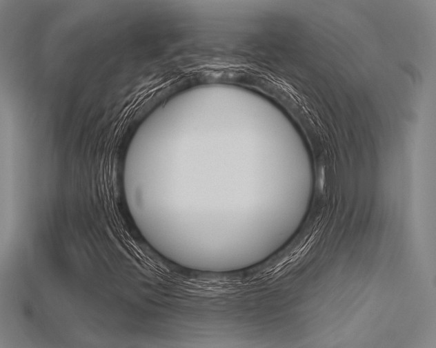 X0000115811396200911131033